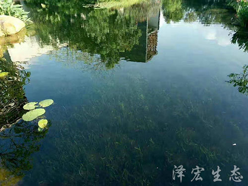 深圳某项目
