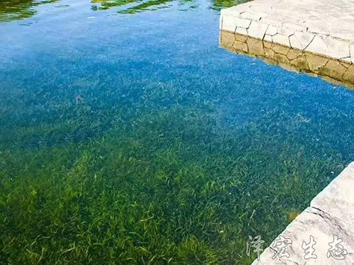 深圳某项目