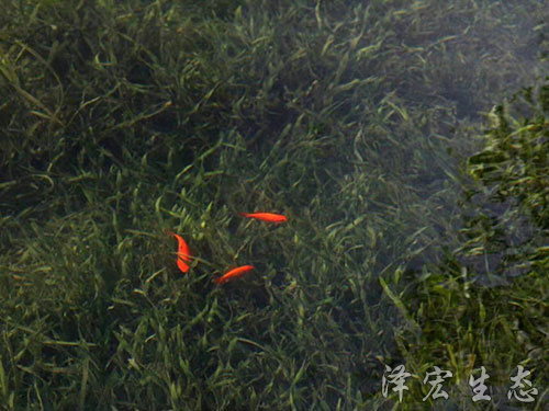 深圳某项目