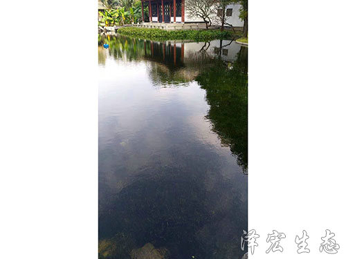 顺德某公园项目