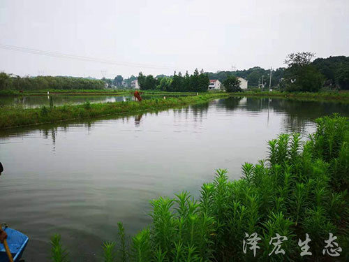 基地面貌 (2)
