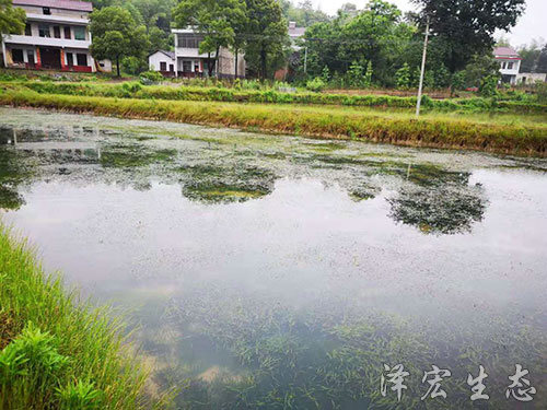 基地面貌 (3)