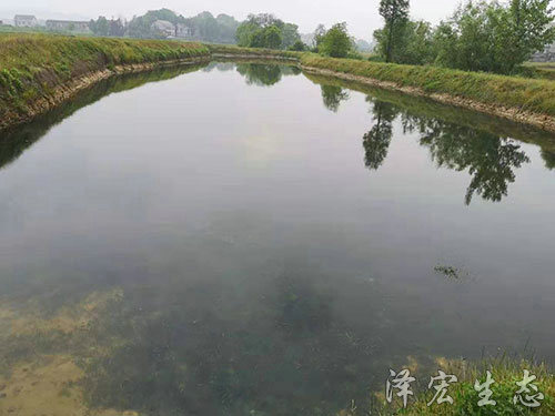 基地面貌 (5)