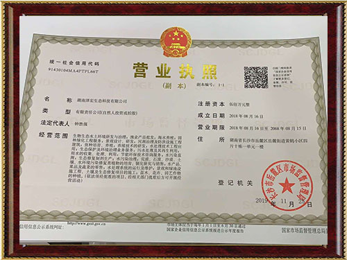 湖南泽宏生态科技有限公司,长沙水环境流域生态治理,长沙水污染防治,长沙水体生态修复