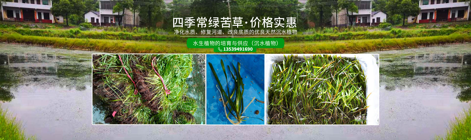 湖南泽宏生态科技有限公司_长沙水环境流域生态治理|长沙水污染防治|长沙水体生态修复 湖南泽宏生态科技有限公司_长沙水环境流域生态治理|长沙水污染防治|长沙水体生态修复