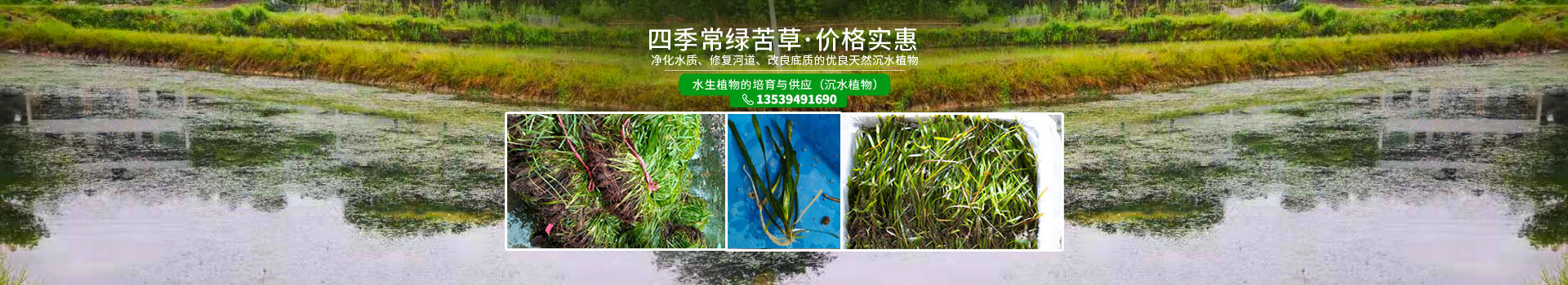 湖南泽宏生态科技有限公司_长沙水环境流域生态治理|长沙水污染防治|长沙水体生态修复