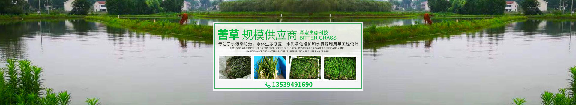 湖南泽宏生态科技有限公司_长沙水环境流域生态治理|长沙水污染防治|长沙水体生态修复