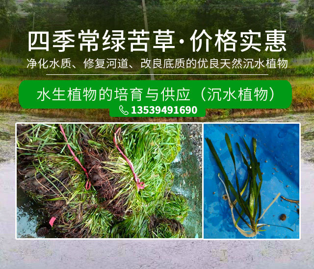 湖南泽宏生态科技有限公司_长沙水环境流域生态治理|长沙水污染防治|长沙水体生态修复