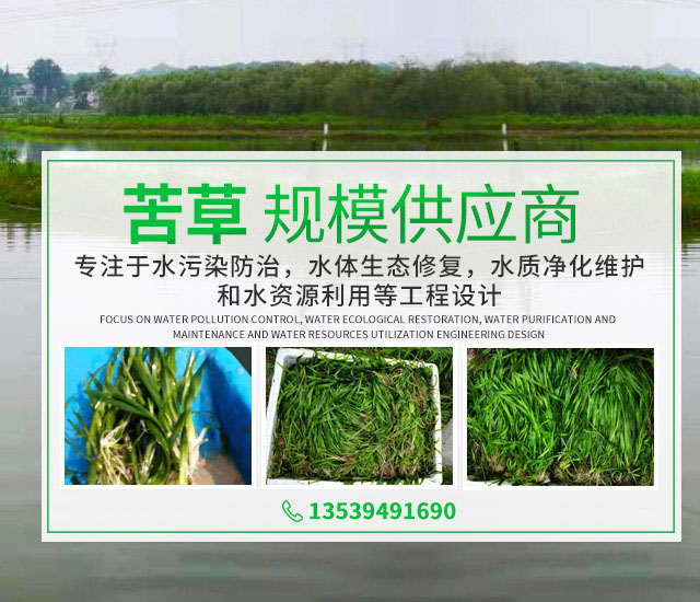 湖南泽宏生态科技有限公司_长沙水环境流域生态治理|长沙水污染防治|长沙水体生态修复